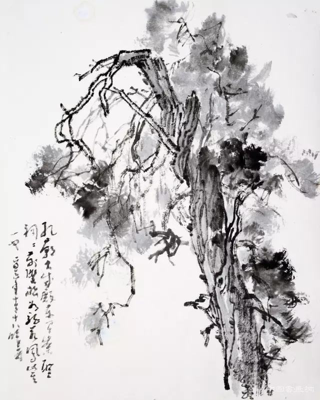 文心托妙想 简笔泻真情  ——观曦林写意画书后